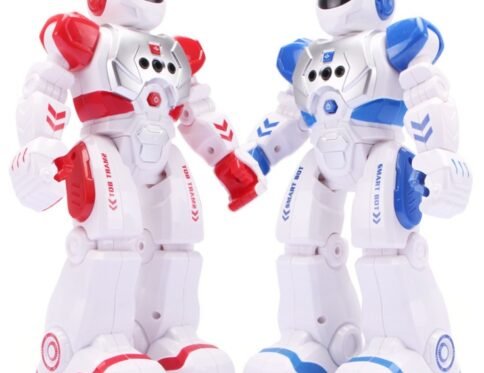 Remote intelligent robot